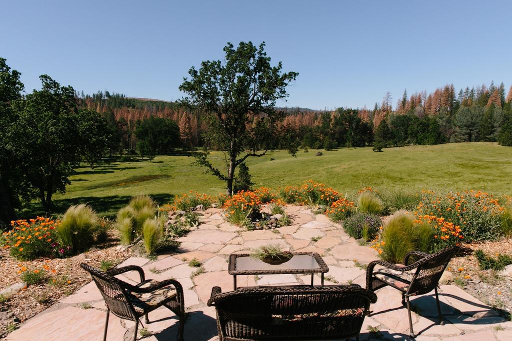 Red Tail Ranch Bed & Breakfast Groveland Dış mekan fotoğraf