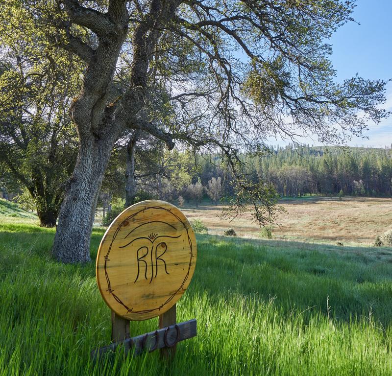 Red Tail Ranch Bed & Breakfast Groveland Dış mekan fotoğraf