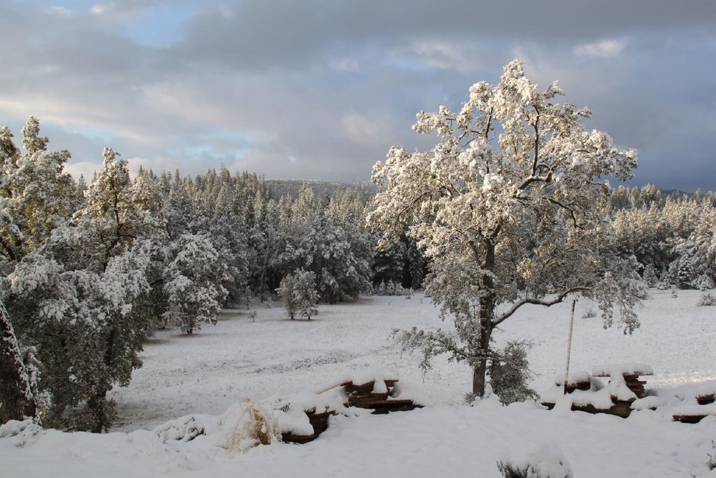 Red Tail Ranch Bed & Breakfast Groveland Dış mekan fotoğraf