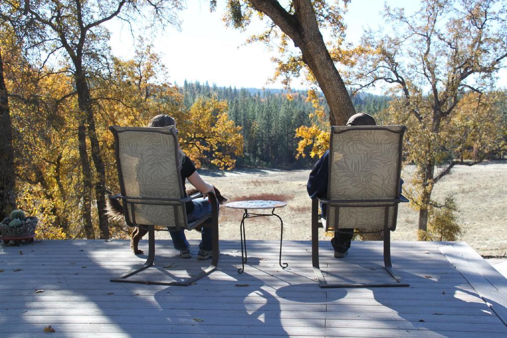 Red Tail Ranch Bed & Breakfast Groveland Dış mekan fotoğraf