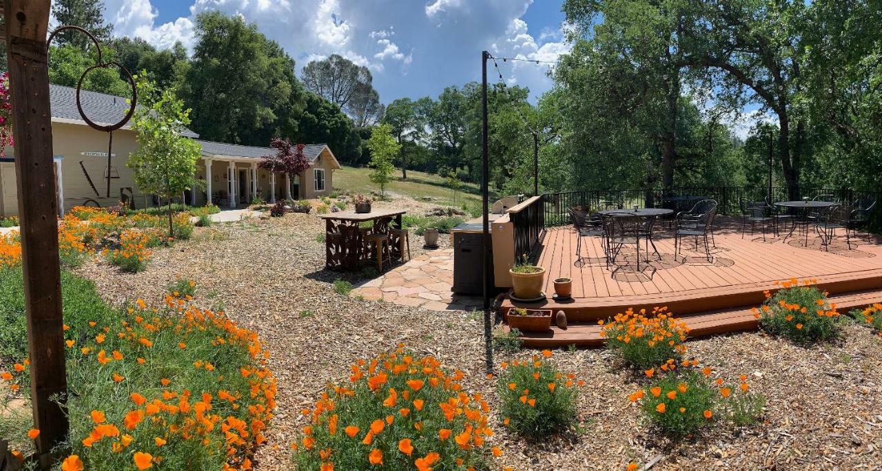 Red Tail Ranch Bed & Breakfast Groveland Dış mekan fotoğraf